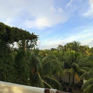  Aparthotel Casa Aloha-isla